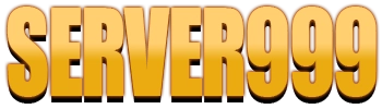 Logo Server999