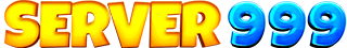 Server999